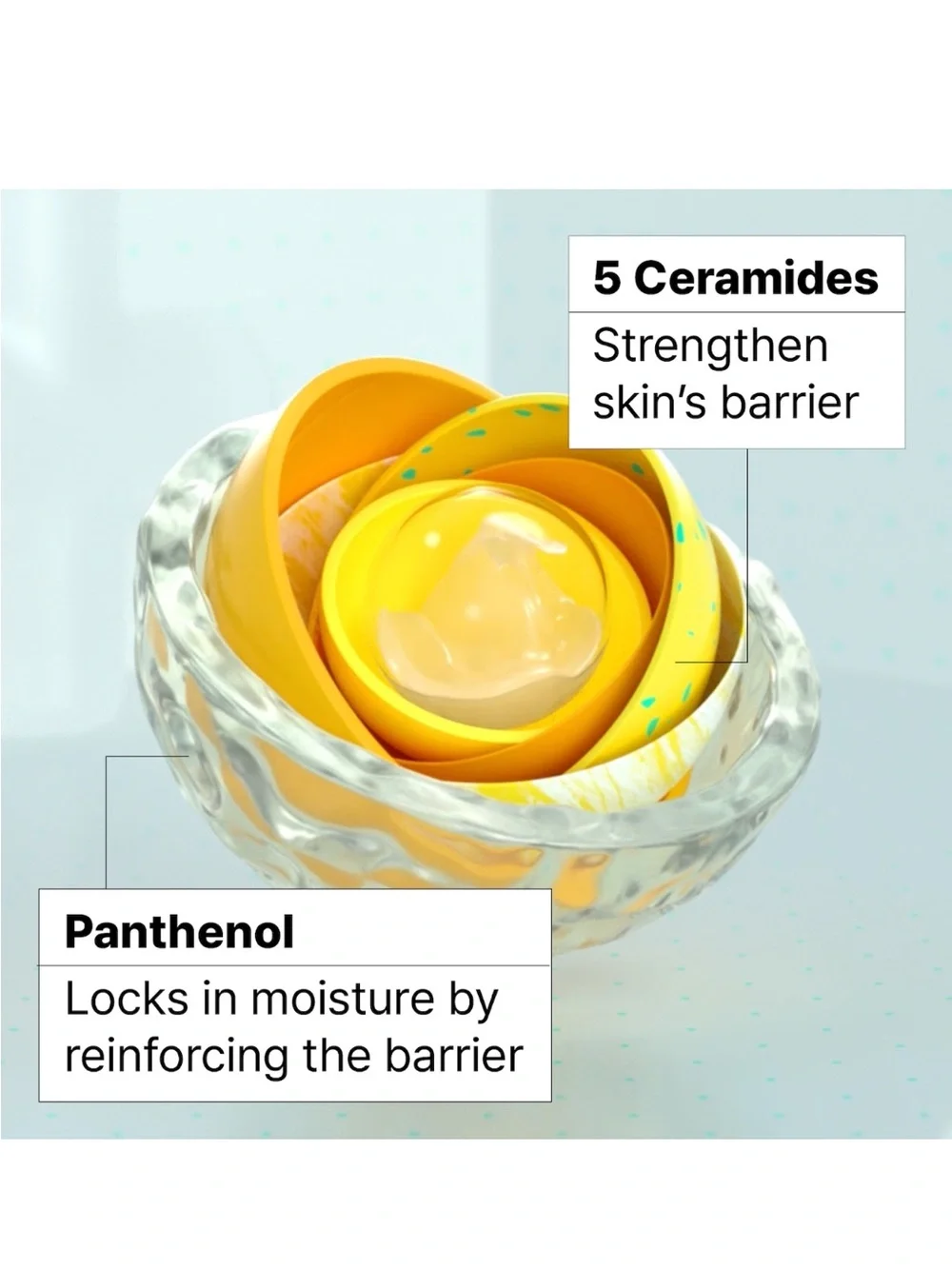 Dr.Jart+ Ceramidin Skin Barrier Moisturizing Cream — 50ml / 1.7 oz